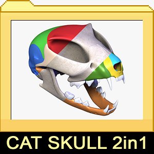 realistic cat skull 1 3d max