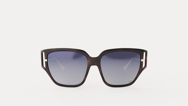 Dior - DIORDIRECTION3F Sunglasses 3D