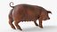 Duroc Swine Livestock Animated Rigged for Blender 3D model
