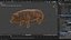 Duroc Swine Livestock Animated Rigged for Blender 3D model