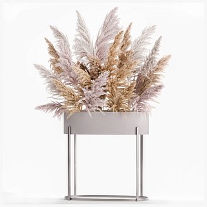 Decorative Bouquet of dried pampas grass 190 3D model