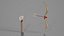 Cupidon Love Bow and Arrows
