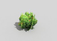 low poly tropical shrub