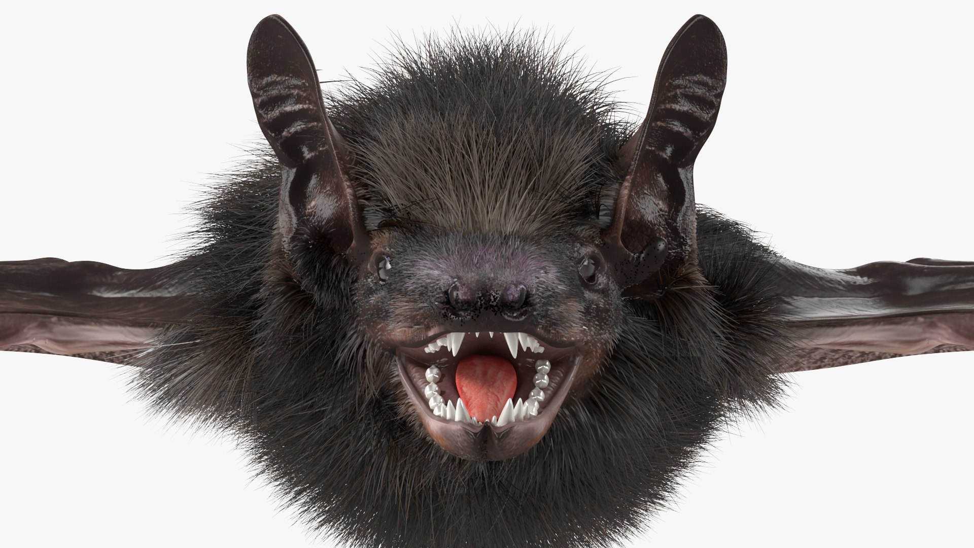 Black Bat Fur 3D Model - TurboSquid 1856508