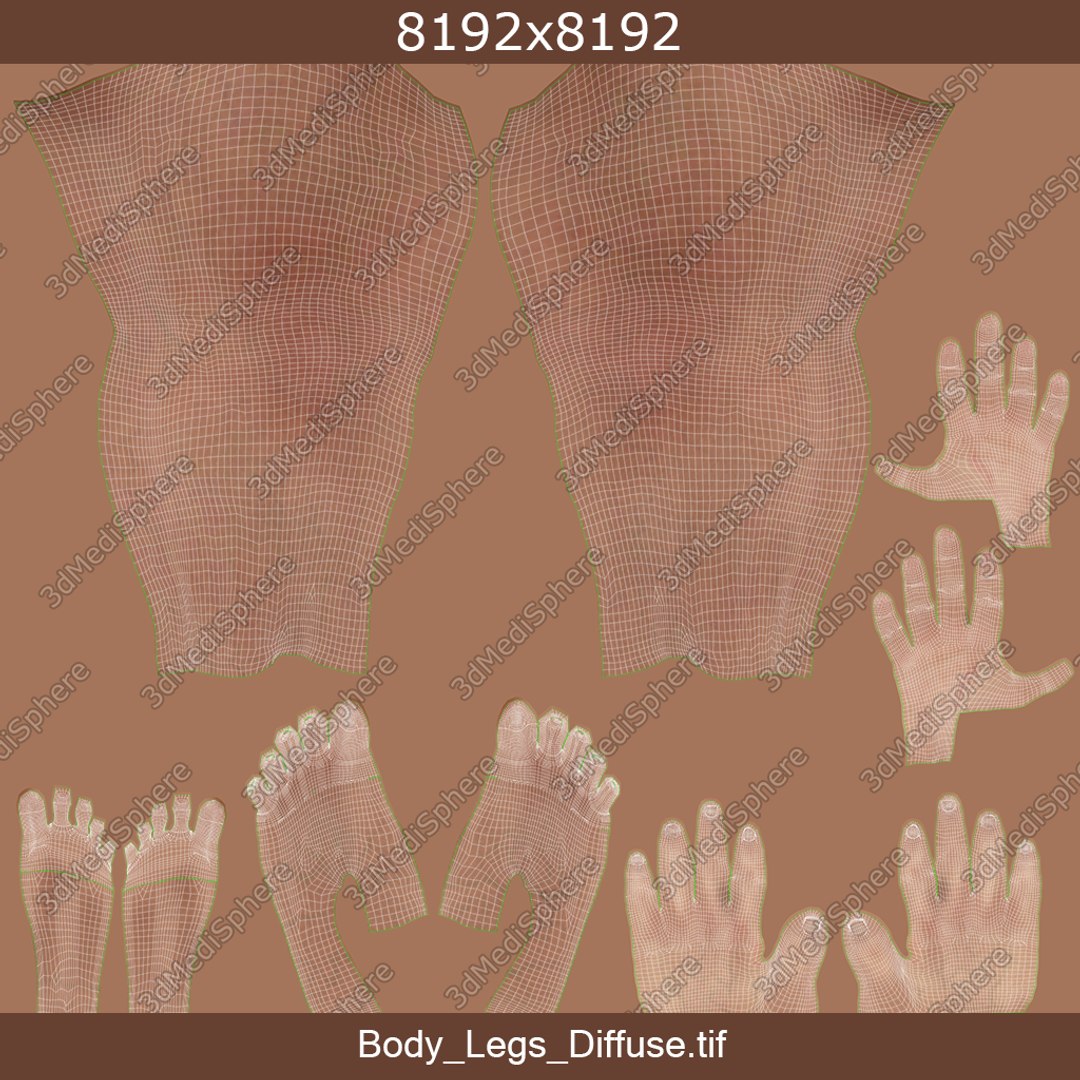 3D skin elder male skeleton https://p.turbosquid.com/ts-thumb/9h/3QtkUx/5VXqtcIT/body_legs/png/1566465481/1920x1080/fit_q87/b81dfe65fd9b940f6c4a208c9b87a8d120906fb6/body_legs.jpg