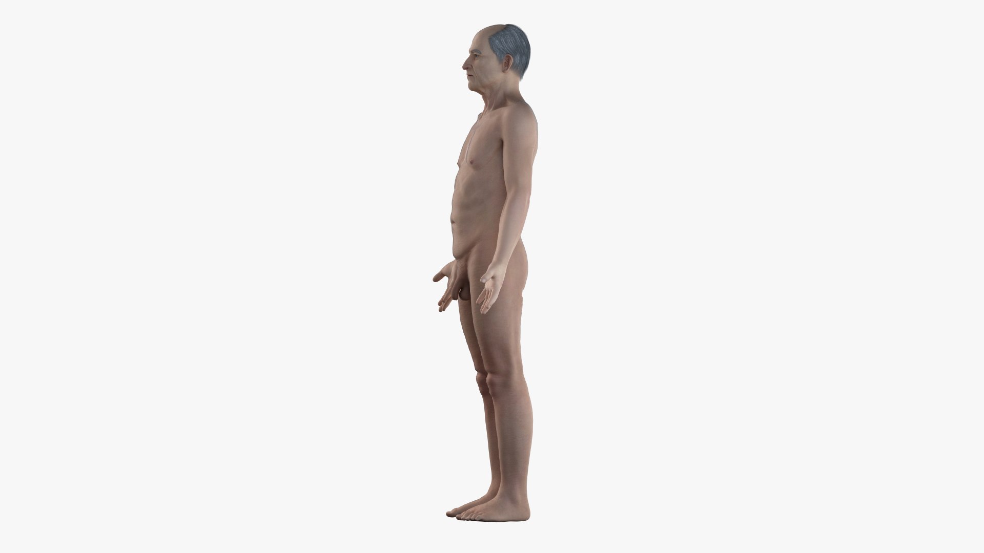 3D skin elder male skeleton https://p.turbosquid.com/ts-thumb/9h/3QtkUx/HyflMuoc/eldermale_body0003/jpg/1566414295/1920x1080/fit_q87/f9a563f7cb84d56f4beec770a5c3b3f06e822646/eldermale_body0003.jpg