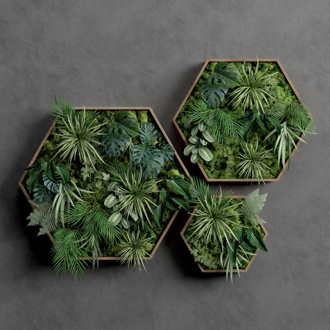 decorative green moss set 3D model https://p.turbosquid.com/ts-thumb/9h/9KlxjD/WQHMvblT/1/jpg/1565636734/1920x1080/fit_q87/f6496286736633adba0f96122760a5ab9ee1ae2b/1.jpg