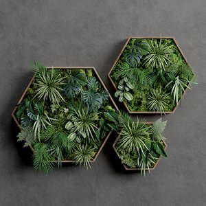 Decorative Pentagonal Moss Set