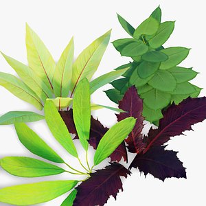 Low Grow Flora Collection 3D