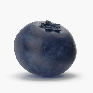 Blueberry 3D