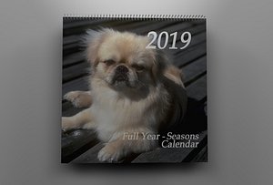 Calendar 1
