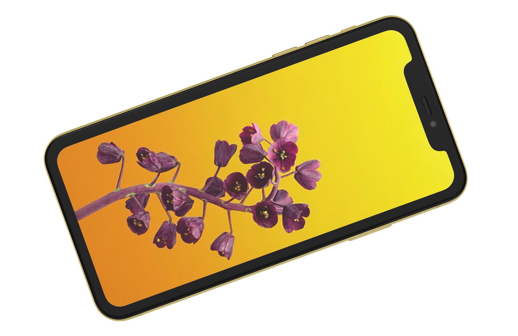 Apple iPhone 11 Yellow Low Poly 3D model https://p.turbosquid.com/ts-thumb/9h/JSFgHk/as/9/jpg/1760418636/1920x1080/fit_q87/b91bf11de8f216932c89aea0b7a1c5ea6de5c8af/9.jpg