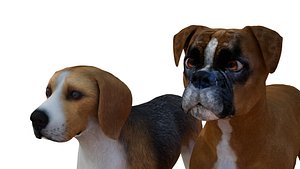 Beagle hunting and boxer Dogs Low-poly 3D model 3D model