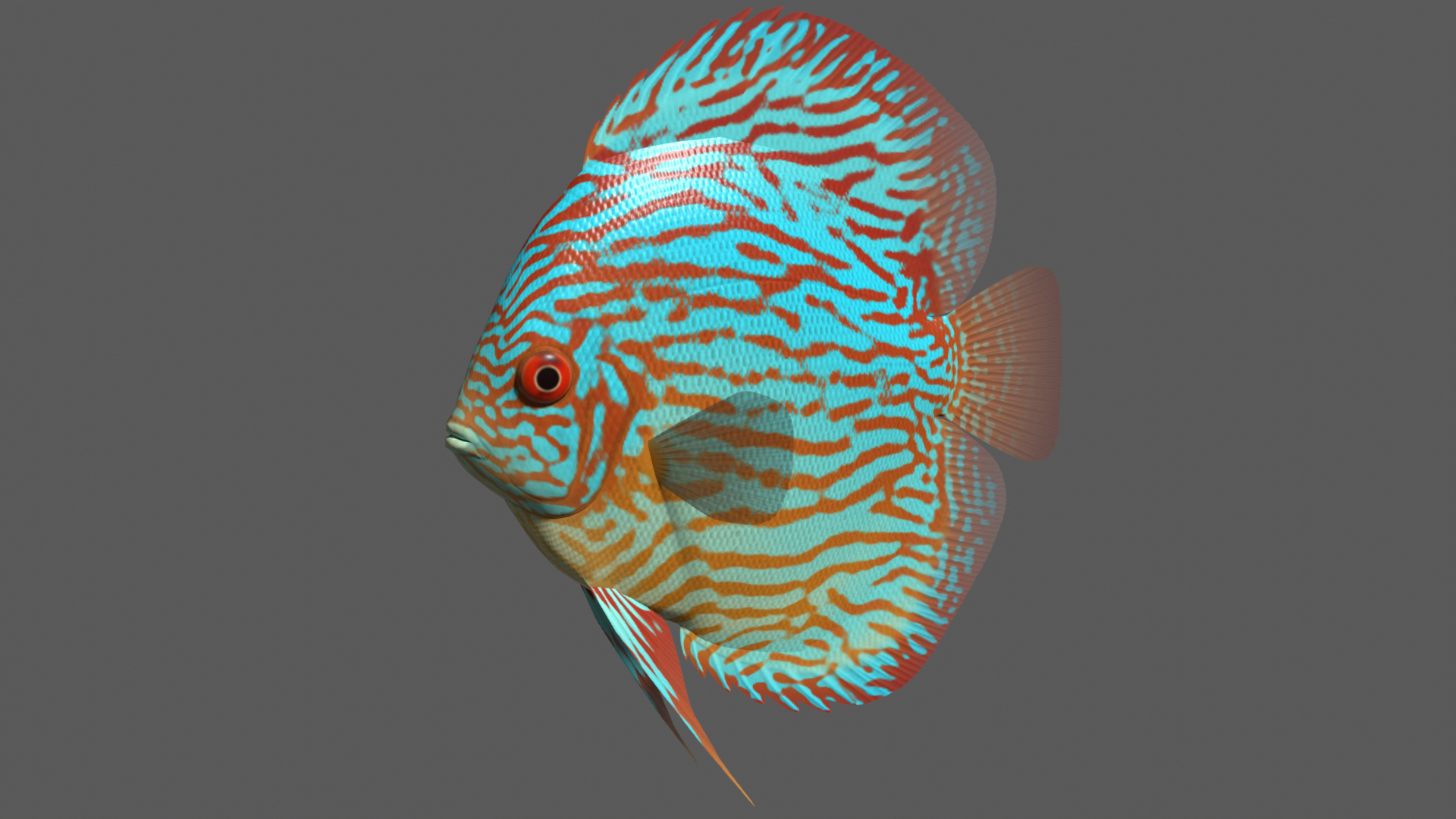 turquoise discus 3d model