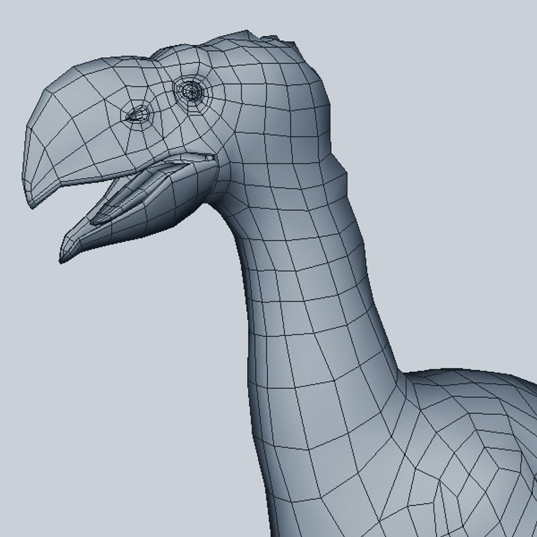 cheetah3d diatryma 3d model https://p.turbosquid.com/ts-thumb/9h/Py62WM/FX9BDWrc/d7/jpg/1296061331/1920x1080/fit_q87/f53da2ec6db74b50519712319f7beb3d610b851d/d7.jpg