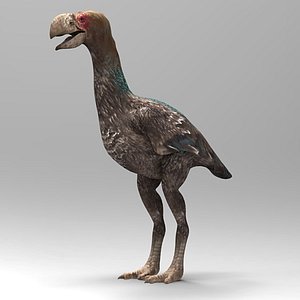Diatryma