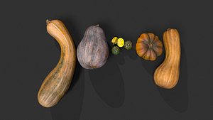 Pumpkins Collection 3D