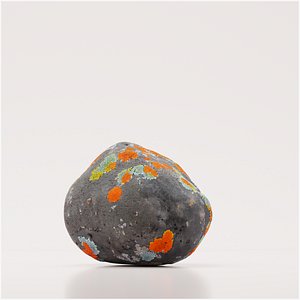 3D Photorealistic Organic Detailed Lichen Stone