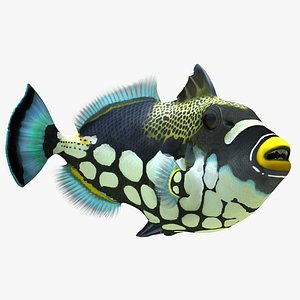 max clown trigger fish rigged