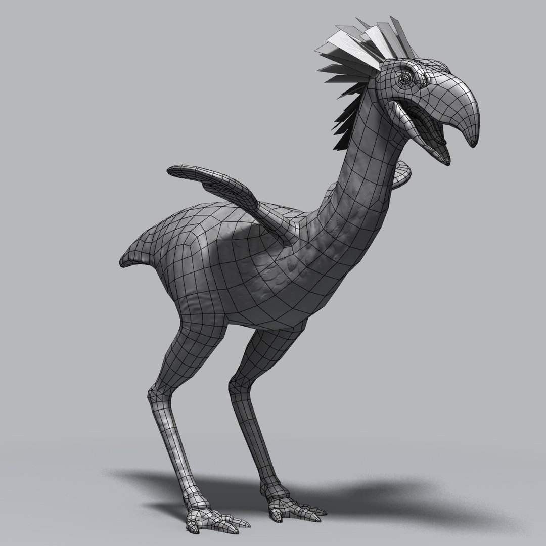 3d model phorusrhacos terror bird https://p.turbosquid.com/ts-thumb/9h/y6Vt71/mEB3wdM1/phorusw0000/jpg/1385468125/1920x1080/fit_q87/9a211d9aaba64111caff5d354b7529d227ecf580/phorusw0000.jpg