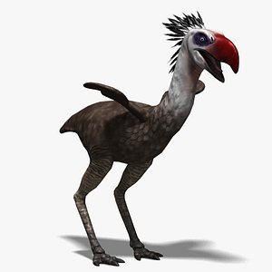 3d model phorusrhacos terror bird