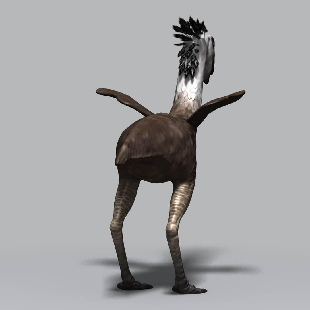 3d model phorusrhacos terror bird https://p.turbosquid.com/ts-thumb/9h/y6Vt71/v5RRM3yz/phorus0003/jpg/1385468125/1920x1080/fit_q87/42bb112ed4522ea3f591855e486f275a6deb639c/phorus0003.jpg