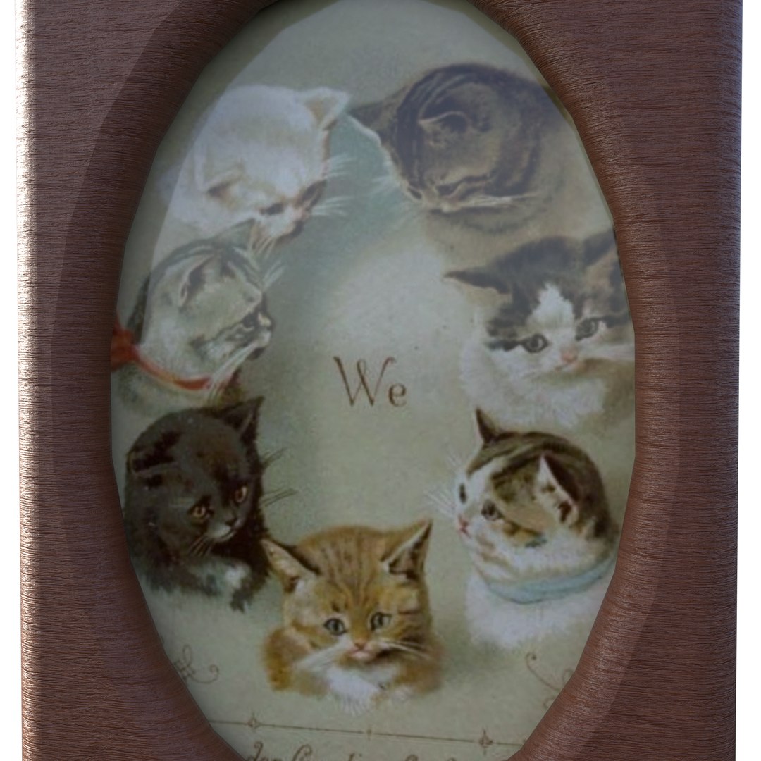 3D kitten frame https://p.turbosquid.com/ts-thumb/9i/AQNRdT/yj/kittenframeimage3/png/1735347341/1920x1080/fit_q87/f832c1428cbff44add85f77263fe390baca609cc/kittenframeimage3.jpg