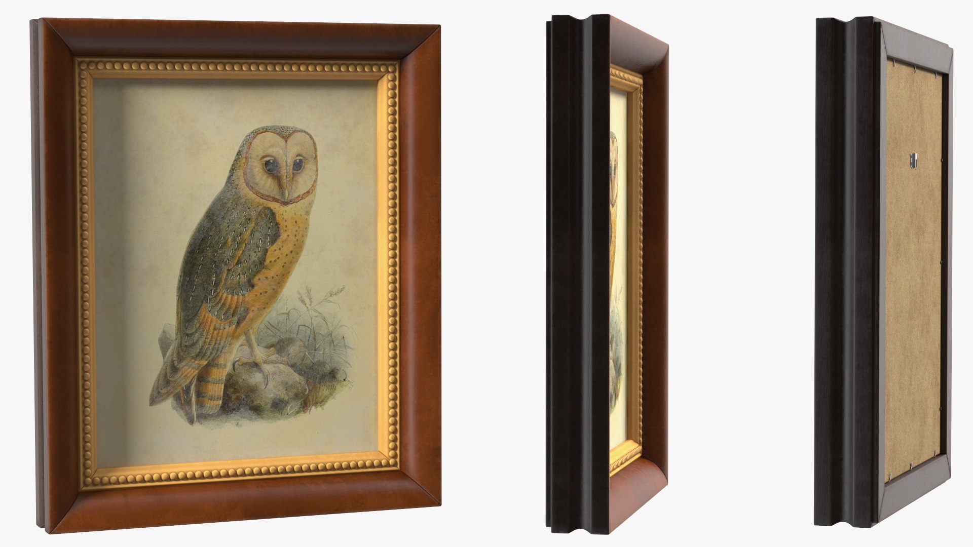 3D Owl Picture in Vintage Frame https://p.turbosquid.com/ts-thumb/9i/DwUnMh/Op/owlpictureinvintageframemb3dmodel008/jpg/1669214857/1920x1080/fit_q87/973b1f55be5155b71ebaa4852cc10d749f0d8387/owlpictureinvintageframemb3dmodel008.jpg