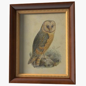 3D Owl Picture in Vintage Frame