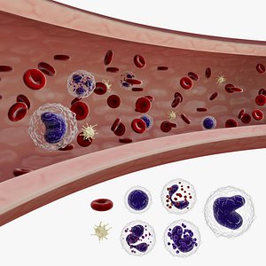 Animated blood flow