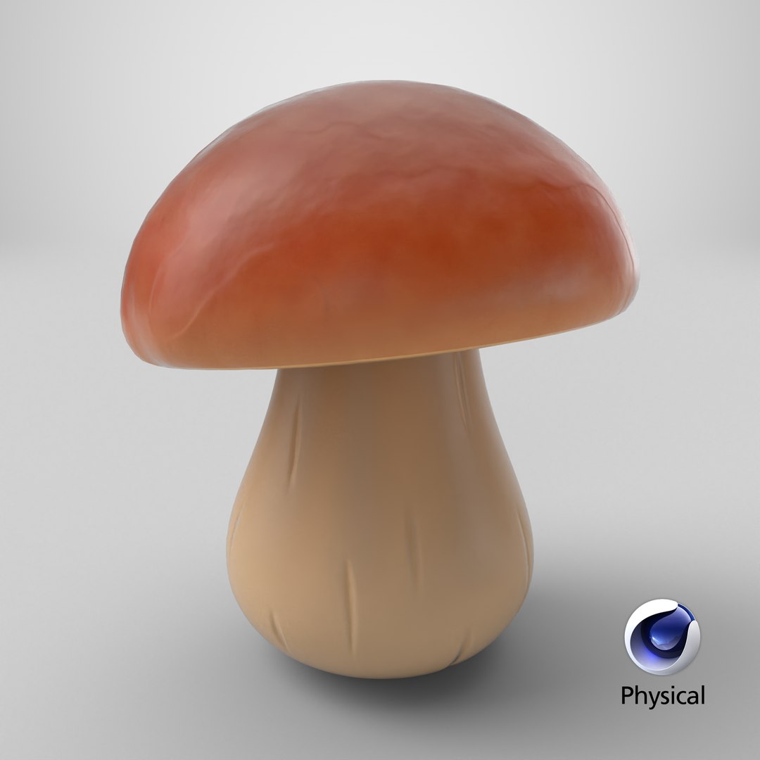 3D model Cartoon Porcini Mushroom https://p.turbosquid.com/ts-thumb/9i/HgeOPf/Bz/stemcell_cinema_4d_physical_render/png/1770648181/1920x1080/fit_q87/2d83dde091dbe2bd85a43cdffc0c94b0dbca6436/stemcell_cinema_4d_physical_render.jpg