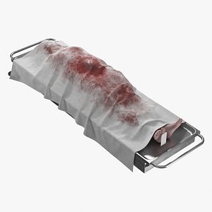 realistic dead body covered 3D model