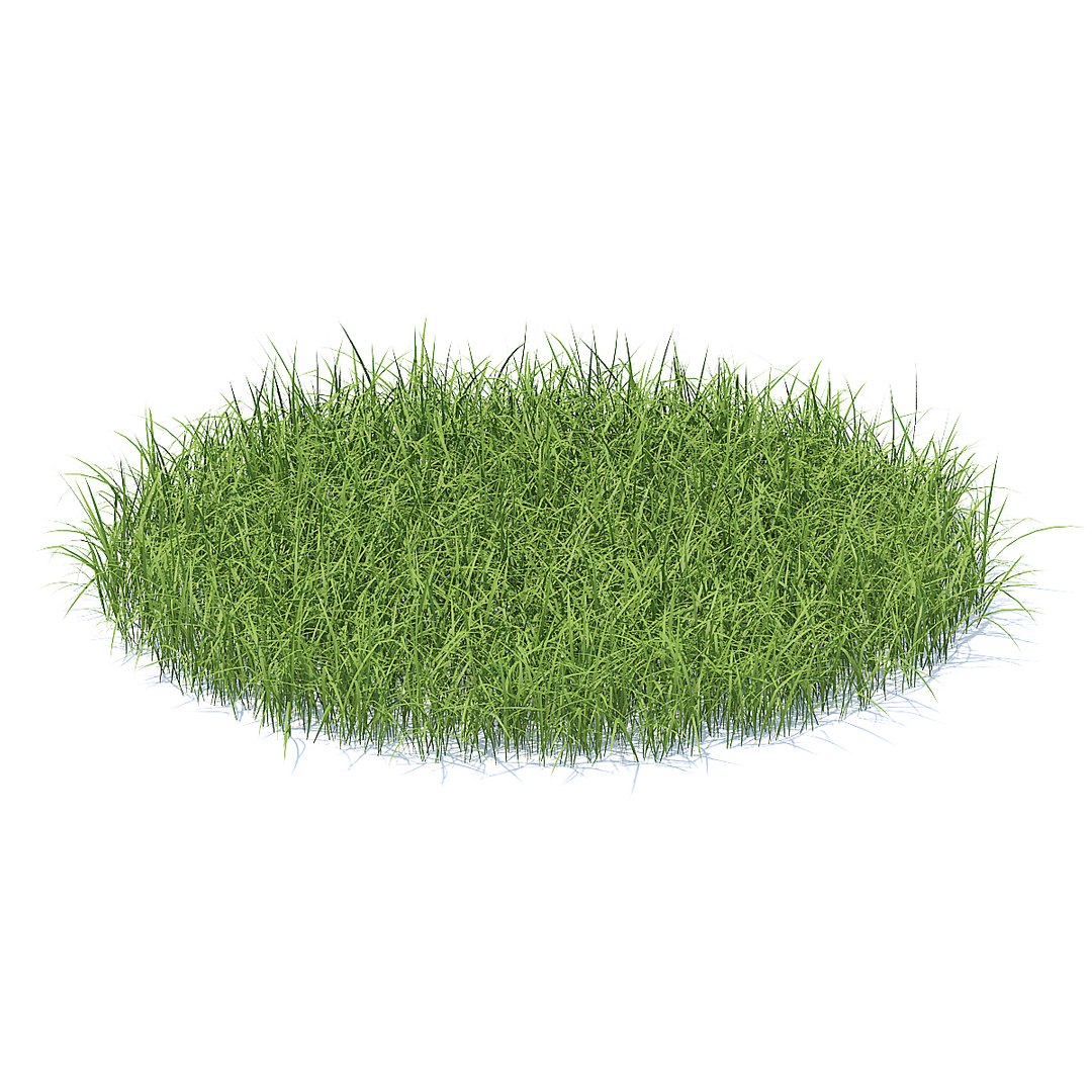 tall grass model https://p.turbosquid.com/ts-thumb/9i/UUNhCm/Pbb62c5J/cgaxis_models_91_09a/jpg/1511860403/1920x1080/fit_q87/51a82a624544af0ecd196aae686f30b88c11dc6f/cgaxis_models_91_09a.jpg