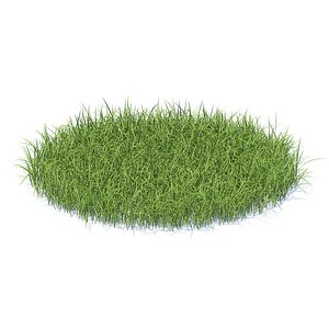 tall grass model