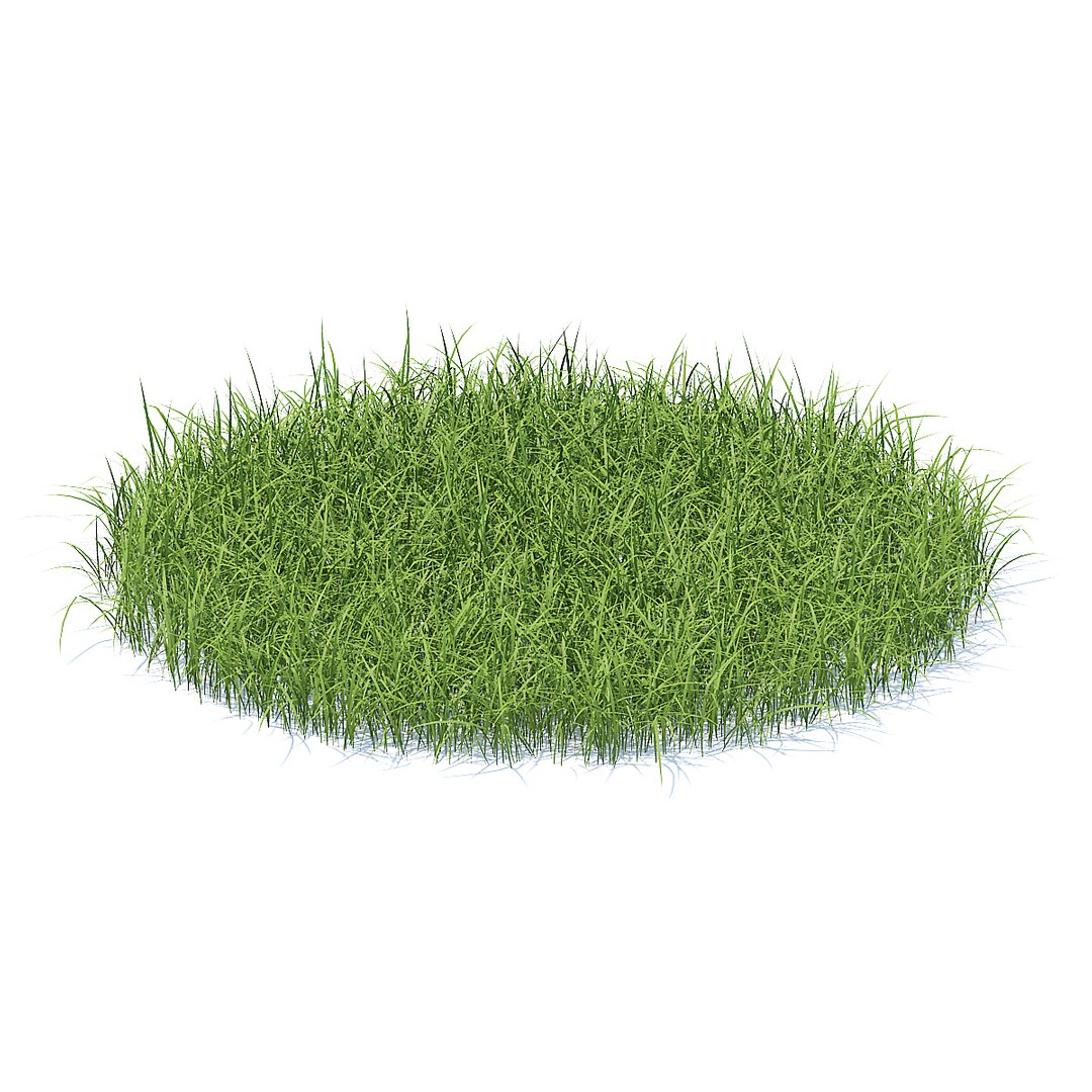 tall grass model https://p.turbosquid.com/ts-thumb/9i/UUNhCm/VRTwY4Ui/cgaxis_models_91_09b/jpg/1511860403/1920x1080/fit_q87/0e5ced8375011198eedf83dab7a8be0b2f7cd186/cgaxis_models_91_09b.jpg