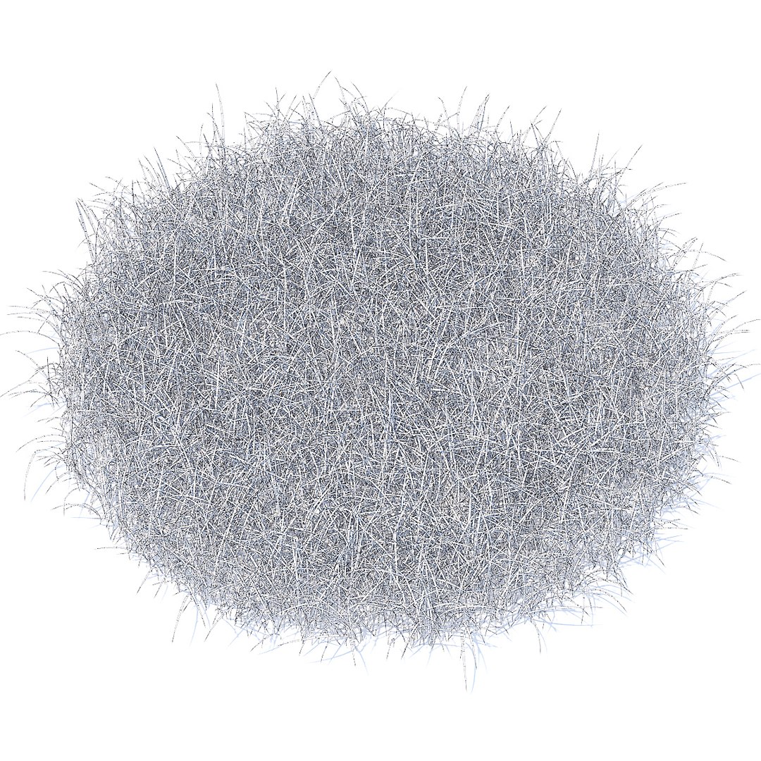 tall grass model https://p.turbosquid.com/ts-thumb/9i/UUNhCm/ytRfNMFc/cgaxis_models_91_09cgrid/jpg/1511860403/1920x1080/fit_q87/7fd47189688734df0137055482288c371a3d6721/cgaxis_models_91_09cgrid.jpg