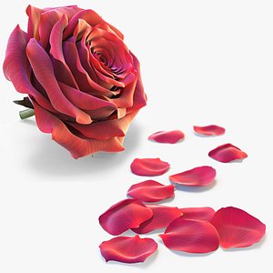 Realistic Red Rose and Petals 3D Models - High-Quality 4K PBR Asset