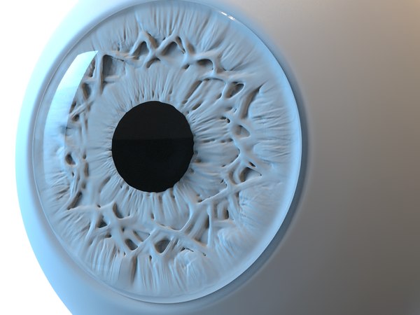 3D model Dog Eye Socket Highpoly Sculpt - TurboSquid 1807847