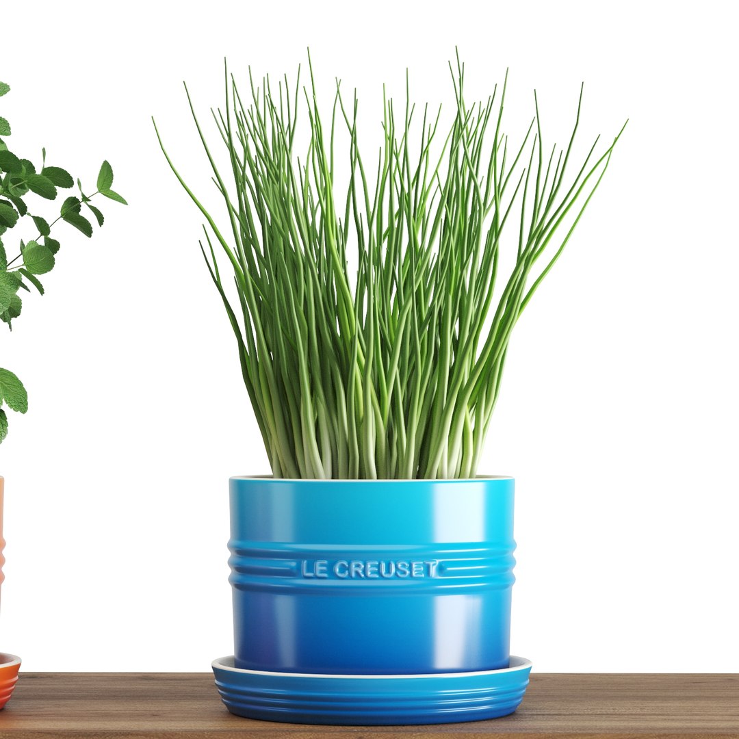 Kitchen Herbs Le Creuset 3D Model - TurboSquid 1486011
