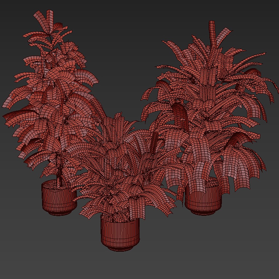plant vol 955 - Croton - leaf 3D model https://p.turbosquid.com/ts-thumb/9j/GIM4h7/YV/6/jpg/1784979658/1920x1080/fit_q87/a1289813aa014bccf466f55c3e31e63005e23821/6.jpg