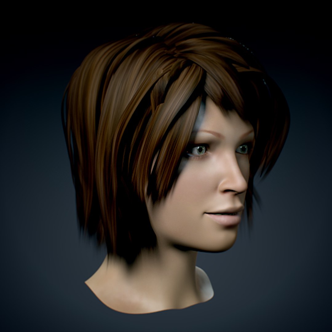 Human Female Head Anatomy 3d Model