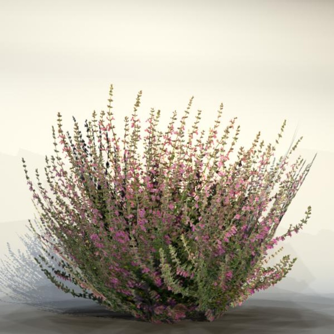 max flower https://p.turbosquid.com/ts-thumb/9j/TieV5Y/KqeSZ7eq/flower_86_1/jpg/1390848095/1920x1080/fit_q87/233f7b68ff8dbb81b4c5310872f2966340d10d29/flower_86_1.jpg