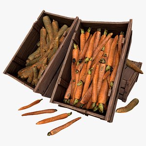 3D Carrots  Box Crate Stand model