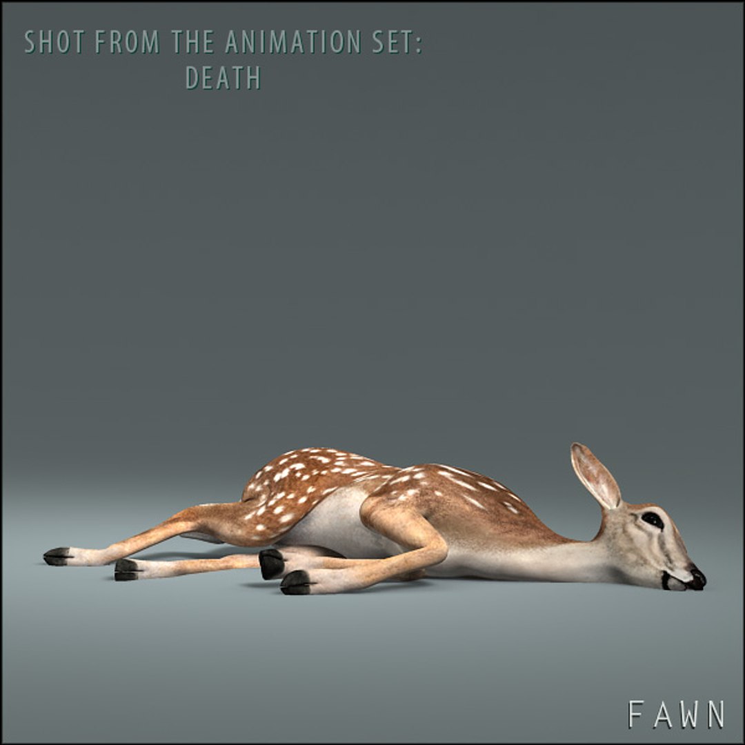 deer family 3d model https://p.turbosquid.com/ts-thumb/9j/lQLrp5/81zLZYey/fawnhd5/jpg/1292843757/1920x1080/fit_q87/b53ff0cee8e6cf004d231a710d17bcf0ff3d8adc/fawnhd5.jpg