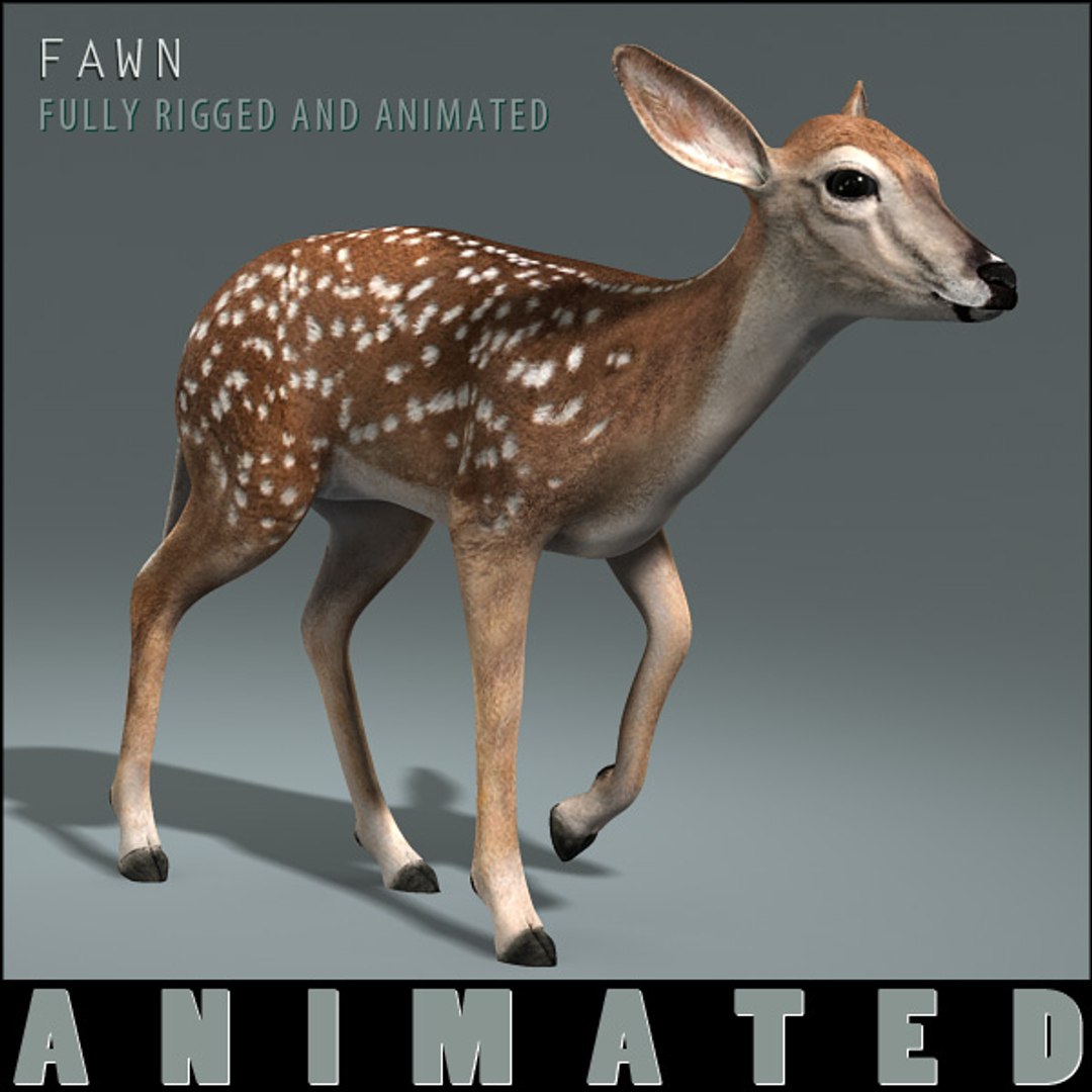 deer family 3d model https://p.turbosquid.com/ts-thumb/9j/lQLrp5/9D01oD70/fawnhd1/jpg/1292843757/1920x1080/fit_q87/a0e2ba3319c852b01ad7b3ce98eb22c71791e67b/fawnhd1.jpg