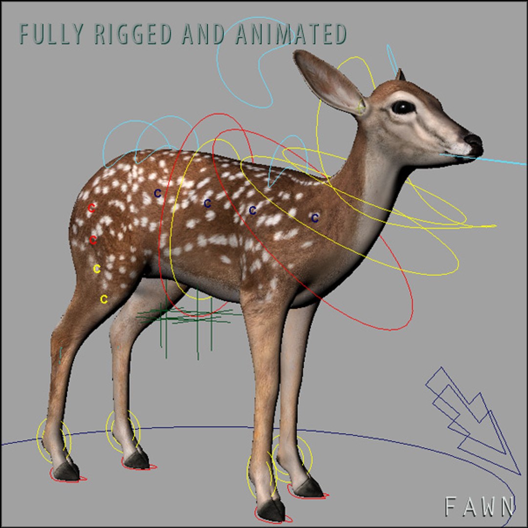 deer family 3d model https://p.turbosquid.com/ts-thumb/9j/lQLrp5/B4Pdi70H/fawnhd8/jpg/1292843757/1920x1080/fit_q87/5e0730b9b797161a75a300e140562f6afa61d305/fawnhd8.jpg