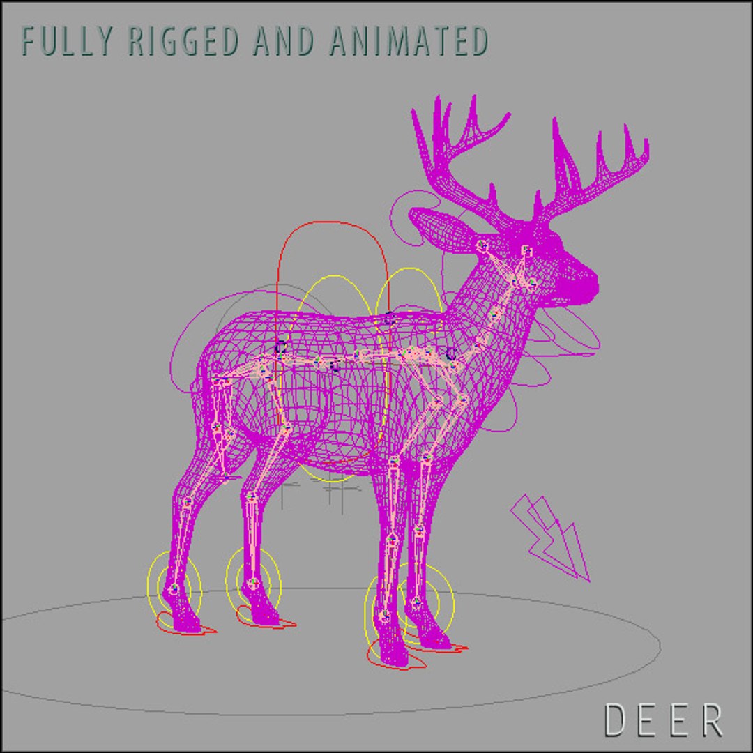 deer family 3d model https://p.turbosquid.com/ts-thumb/9j/lQLrp5/hRDf2Ozl/adeerhd009/jpg/1292833746/1920x1080/fit_q87/5d8696a6cafc8a1c99bc0f6ac3b106689b738965/adeerhd009.jpg