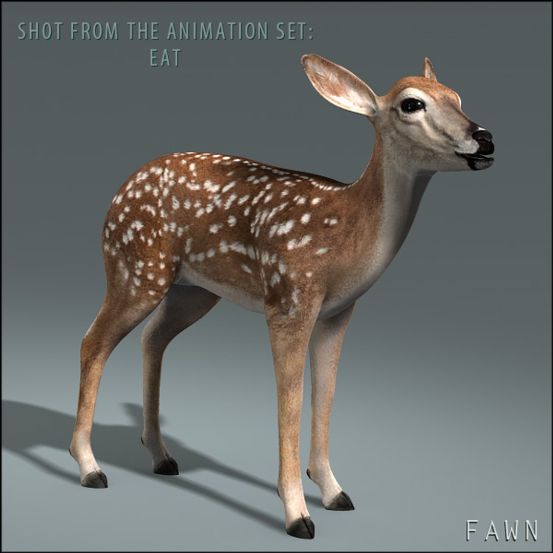 deer family 3d model https://p.turbosquid.com/ts-thumb/9j/lQLrp5/kSqRX5MC/fawnhd3/jpg/1292843757/1920x1080/fit_q87/7bc396413f4e6d9705dd45931c1b75e7917ecd2d/fawnhd3.jpg