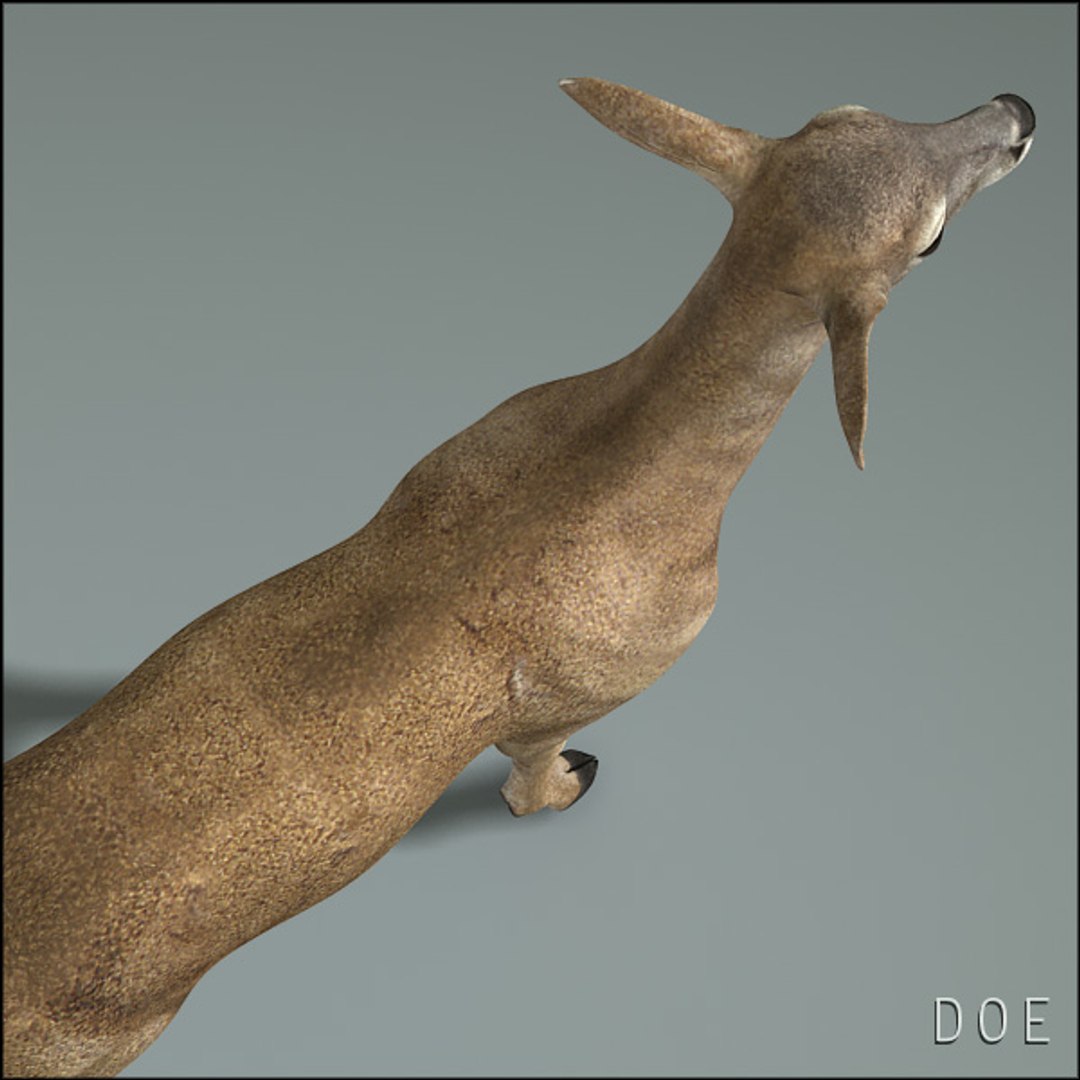 deer family 3d model https://p.turbosquid.com/ts-thumb/9j/lQLrp5/oTUOqTfT/doehd20/jpg/1292840872/1920x1080/fit_q87/e7ed4adafe59ed882cca6191b470a9d8a6c80036/doehd20.jpg