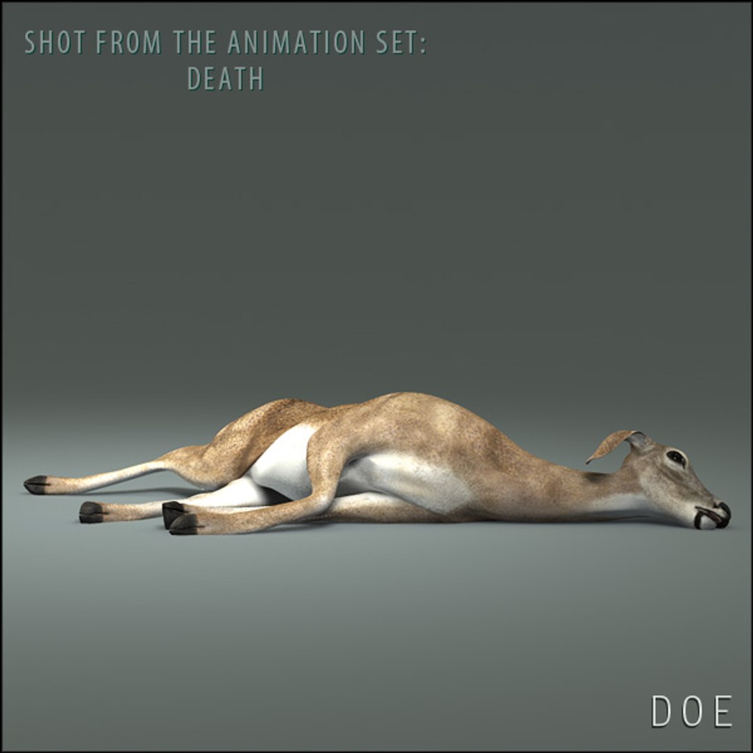 deer family 3d model https://p.turbosquid.com/ts-thumb/9j/lQLrp5/qgejtHDB/doehd02/jpg/1292840872/1920x1080/fit_q87/ed38c2cf84248b529264dd286a391f7153eeb30c/doehd02.jpg